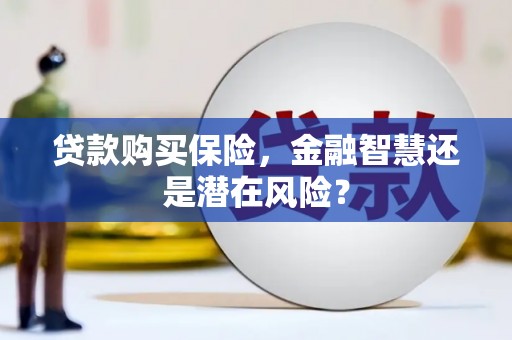 中正贷款购买保险，金融智慧还是潜在风险？