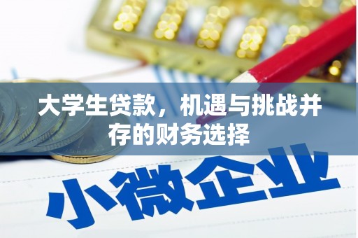 中正大学生贷款，机遇与挑战并存的财务选择