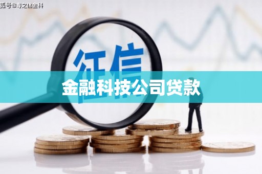 中正金融科技公司贷款