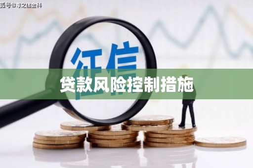 中正贷款风险控制措施