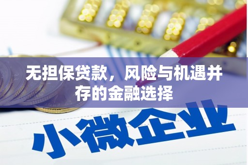 中正无担保贷款，风险与机遇并存的金融选择