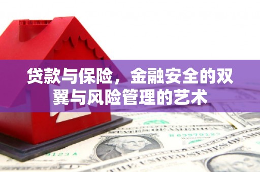 中正贷款与保险，金融安全的双翼与风险管理的艺术