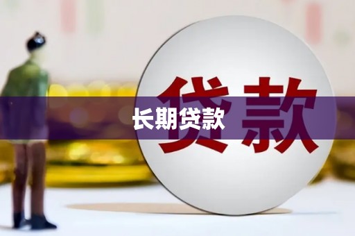 中正长期贷款
