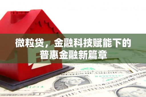 中正微粒贷，金融科技赋能下的普惠金融新篇章