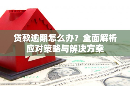 中正贷款逾期怎么办？全面解析应对策略与解决方案