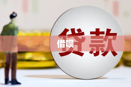 中正借呗