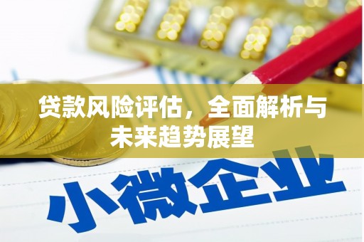 中正贷款风险评估，全面解析与未来趋势展望