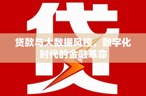 中正贷款与大数据风控，数字化时代的金融革命
