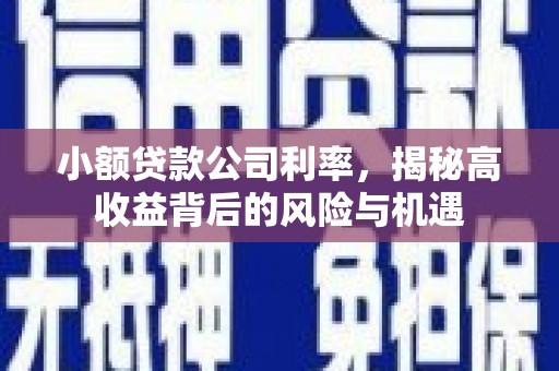 中正小额贷款公司利率，揭秘高收益背后的风险与机遇