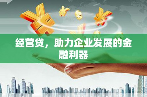 中正经营贷，助力企业发展的金融利器
