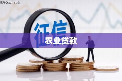 中正农业贷款