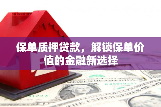 中正保单质押贷款，解锁保单价值的金融新选择