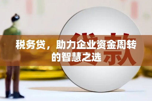 中正税务贷，助力企业资金周转的智慧之选