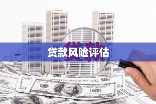 中正贷款风险评估