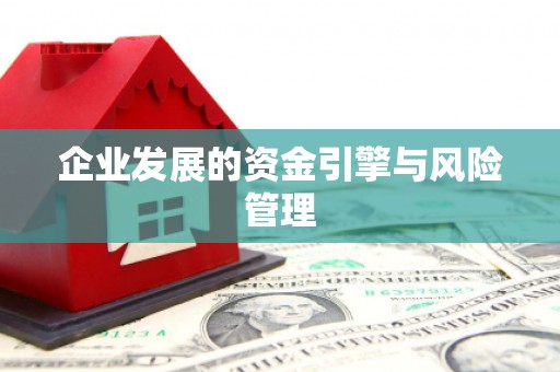 中正企业发展的资金引擎与风险管理