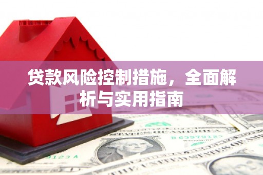 中正贷款风险控制措施，全面解析与实用指南