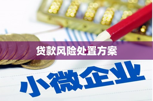 中正贷款风险处置方案