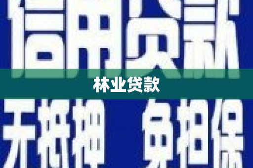 中正林业贷款