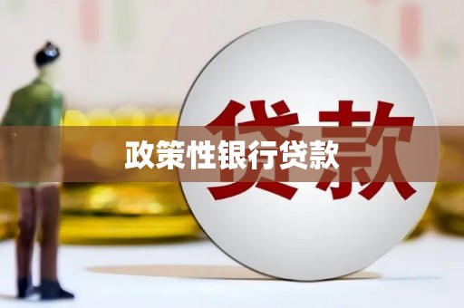 中正政策性银行贷款