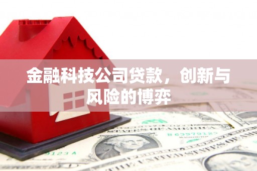 中正金融科技公司贷款，创新与风险的博弈