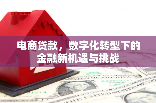 中正电商贷款，数字化转型下的金融新机遇与挑战