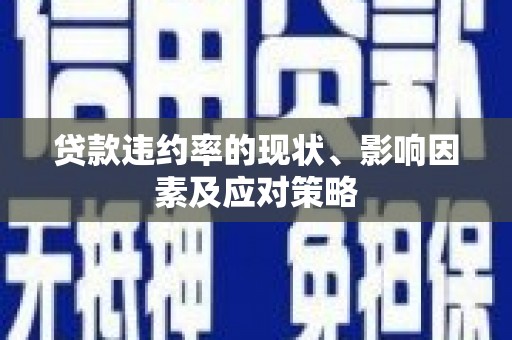 中正贷款违约率的现状、影响因素及应对策略