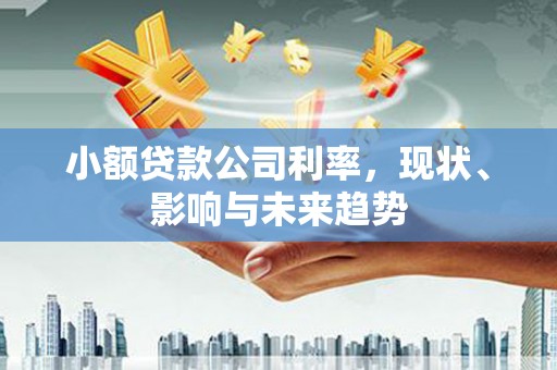 中正小额贷款公司利率，现状、影响与未来趋势
