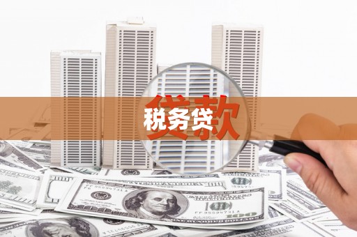 中正税务贷