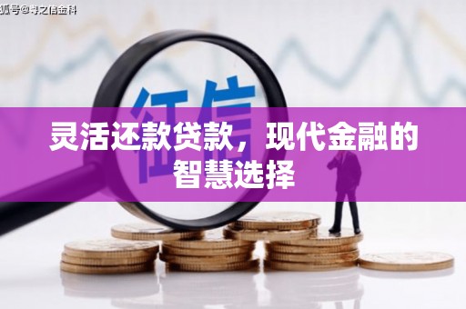 中正灵活还款贷款，现代金融的智慧选择