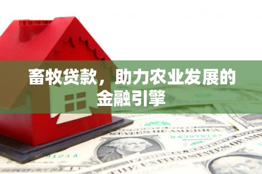 中正畜牧贷款，助力农业发展的金融引擎