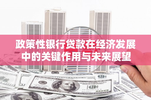 中正政策性银行贷款在经济发展中的关键作用与未来展望