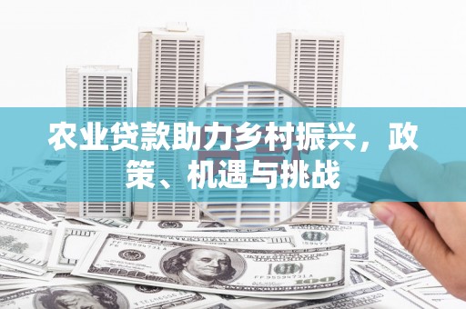 中正农业贷款助力乡村振兴，政策、机遇与挑战