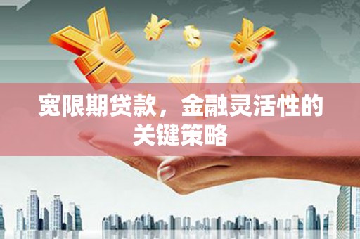 中正宽限期贷款，金融灵活性的关键策略