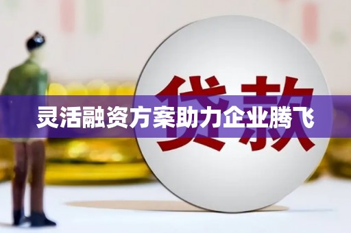 中正灵活融资方案助力企业腾飞