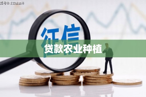 中正贷款农业种植