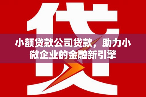 中正小额贷款公司贷款，助力小微企业的金融新引擎