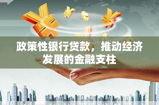 中正政策性银行贷款，推动经济发展的金融支柱