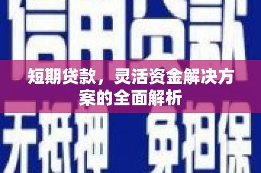 中正短期贷款，灵活资金解决方案的全面解析