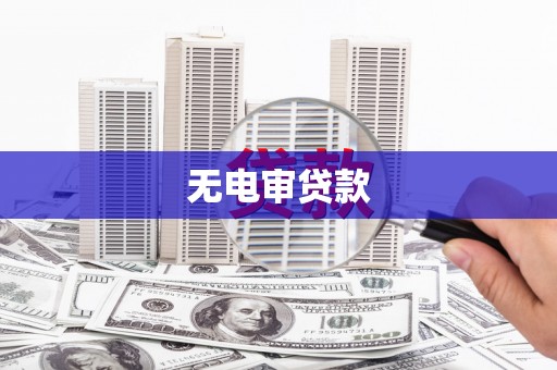 中正无电审贷款