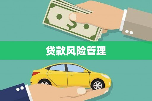 中正贷款风险管理