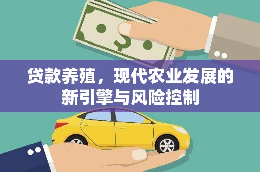 中正贷款养殖，现代农业发展的新引擎与风险控制