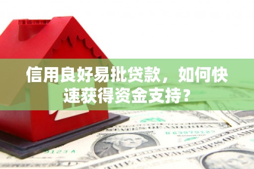 中正信用良好易批贷款，如何快速获得资金支持？