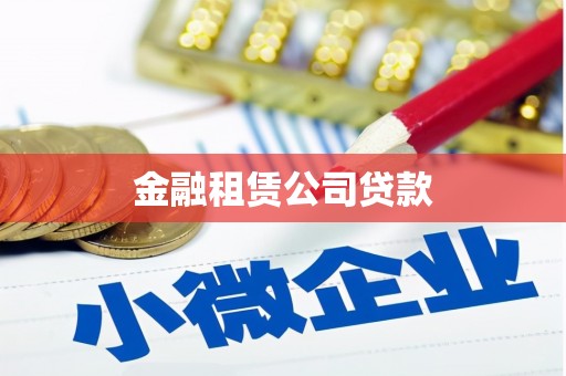 中正金融租赁公司贷款