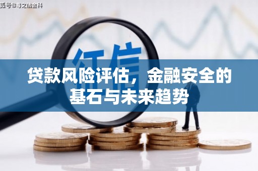 中正贷款风险评估，金融安全的基石与未来趋势