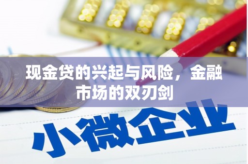 中正现金贷的兴起与风险，金融市场的双刃剑