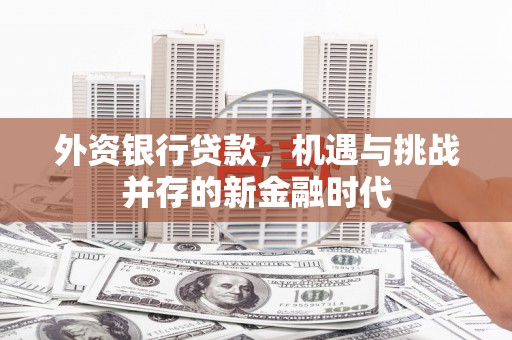 中正外资银行贷款，机遇与挑战并存的新金融时代