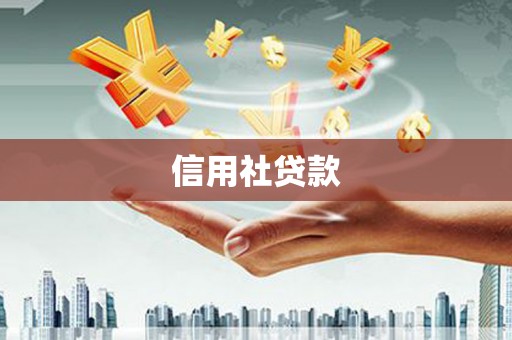中正信用社贷款
