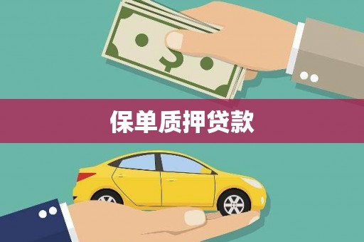 中正保单质押贷款