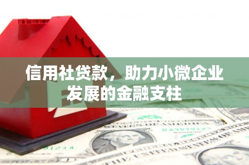 中正信用社贷款，助力小微企业发展的金融支柱