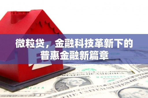 中正微粒贷，金融科技革新下的普惠金融新篇章